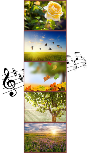 Autumn's Serenade: Roses, Birds fly south, Leaves change color, fruit trees and rain, heather